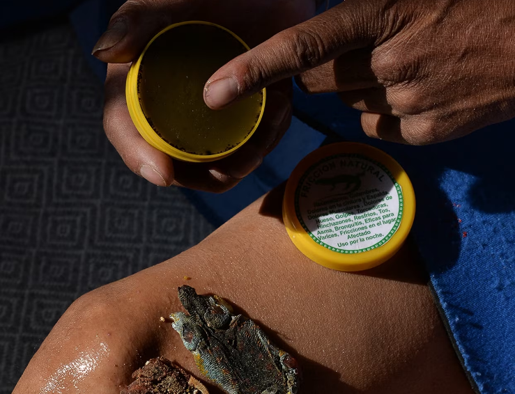 They rely on this lizard to heal their pain. Now it’s endangered